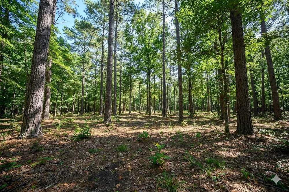3801 Split Rail Way Guild, TN 37340