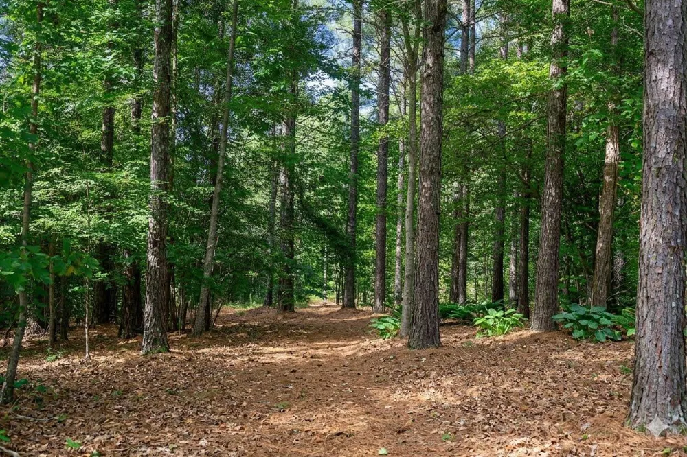 3801 Split Rail Way Guild, TN 37340