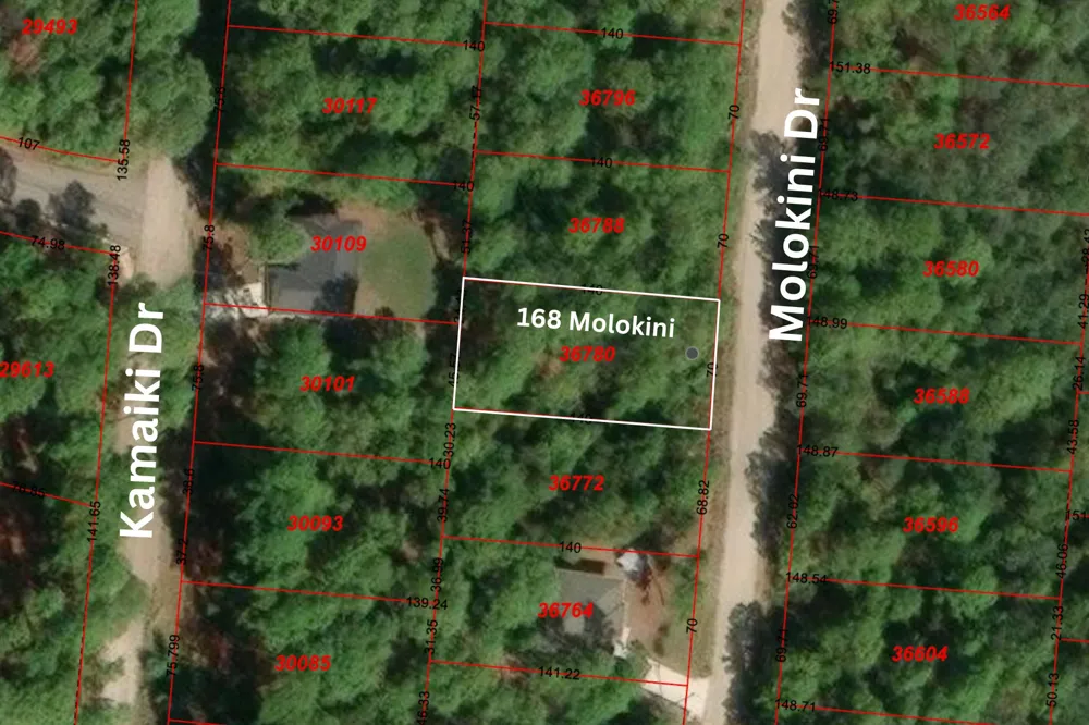168 Molokini Drive Bastrop, TX 78602