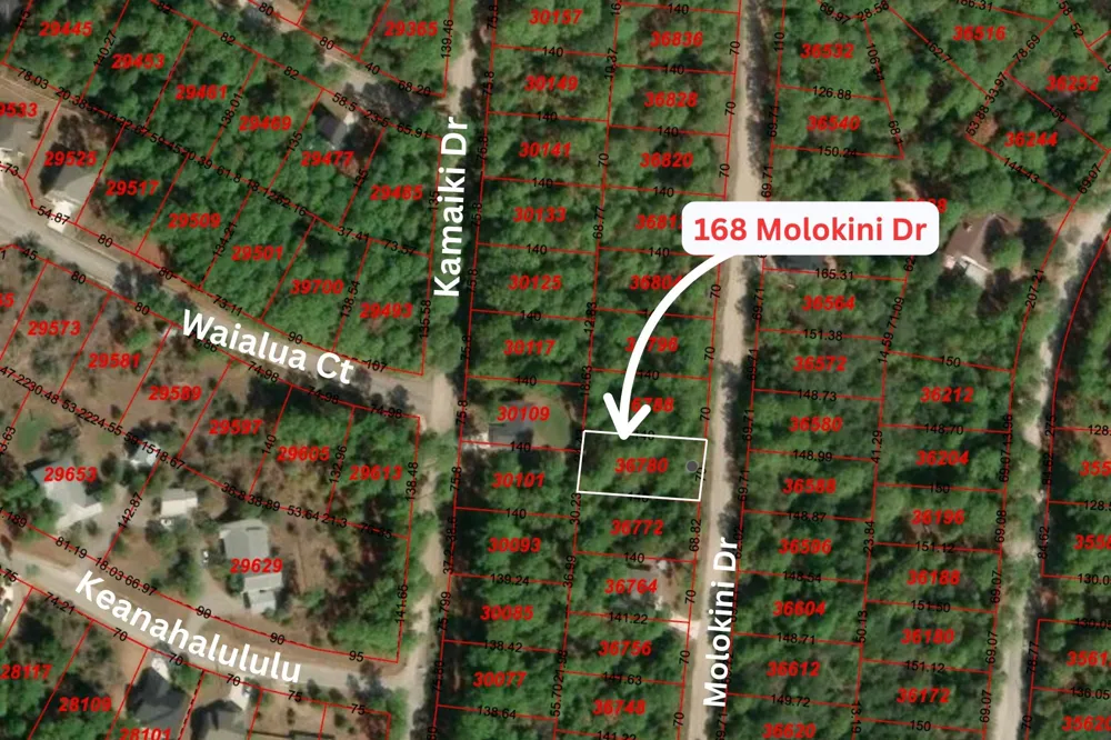 168 Molokini Drive Bastrop, TX 78602