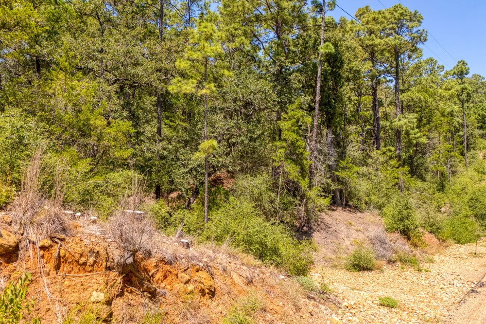 168 Molokini Drive Bastrop, TX 78602