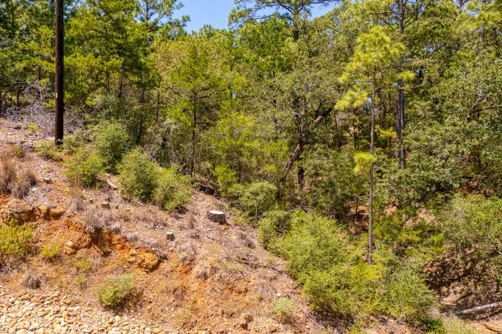 168 Molokini Drive Bastrop, TX 78602