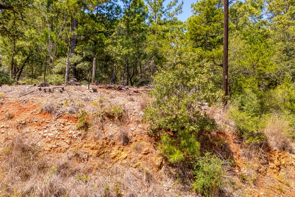 168 Molokini Drive Bastrop, TX 78602
