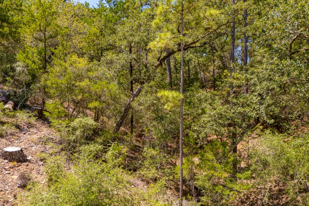 168 Molokini Drive Bastrop, TX 78602