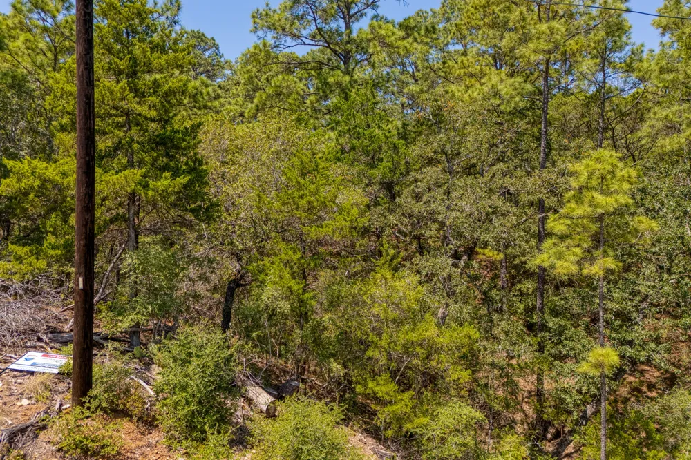 168 Molokini Drive Bastrop, TX 78602