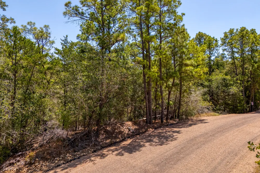 168 Molokini Drive Bastrop, TX 78602