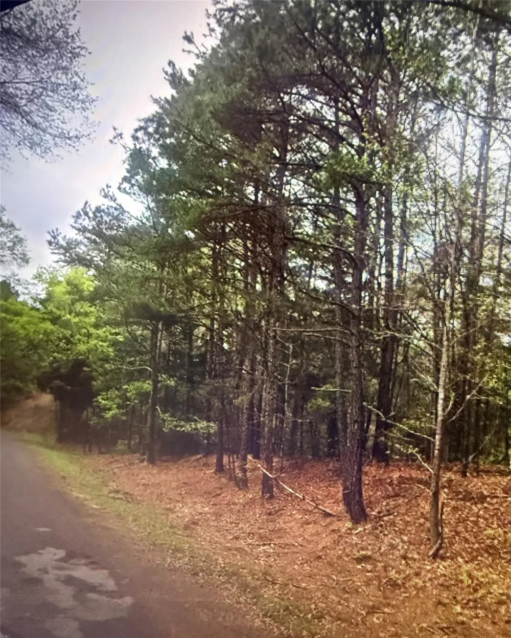 County Road 375 Palestine, TX 75801