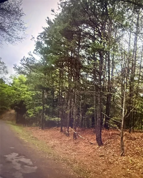 County Road 375