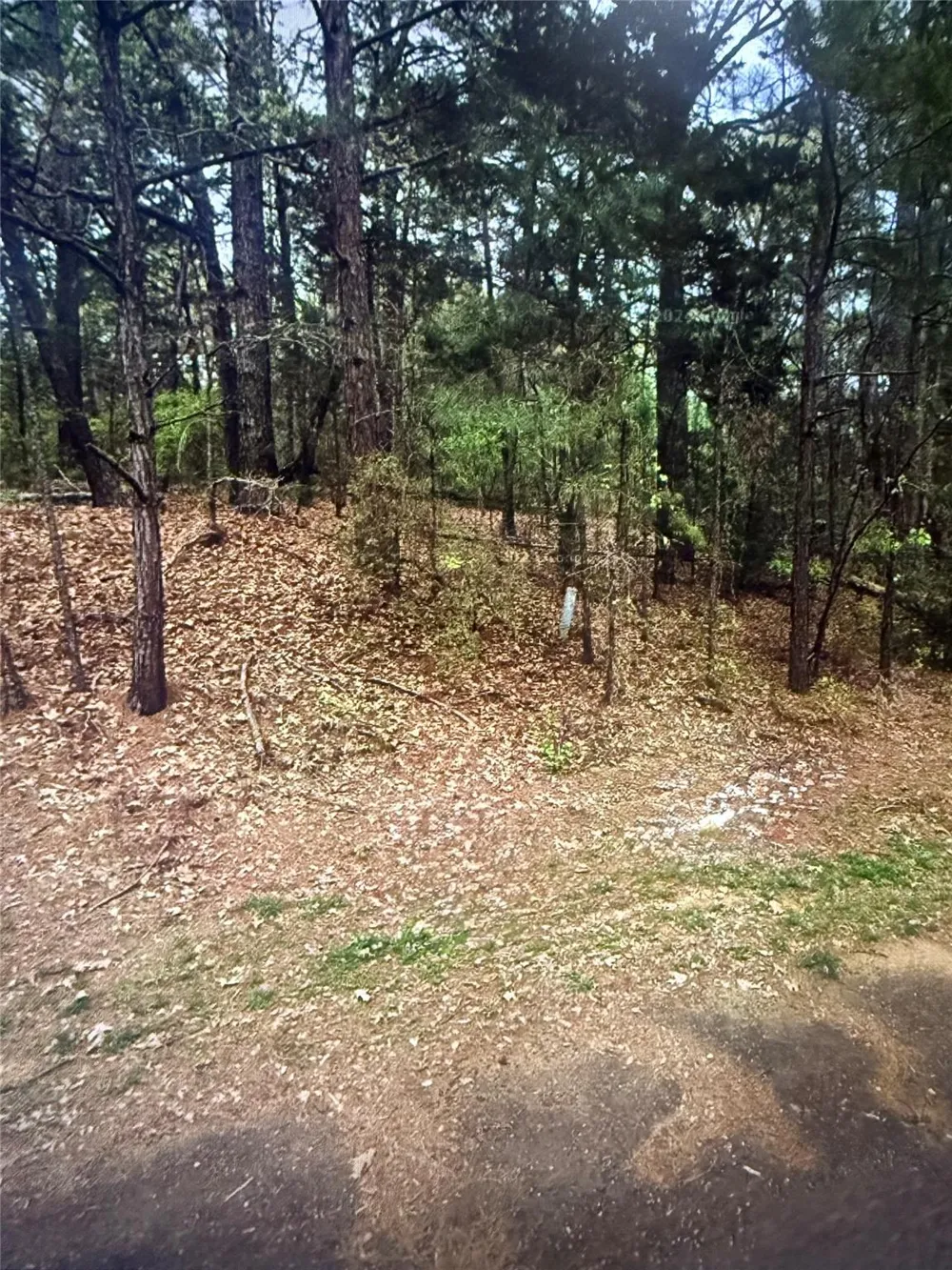 County Road 375 Palestine, TX 75801