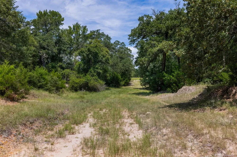 450 Fm 974 Bryan, TX 77808