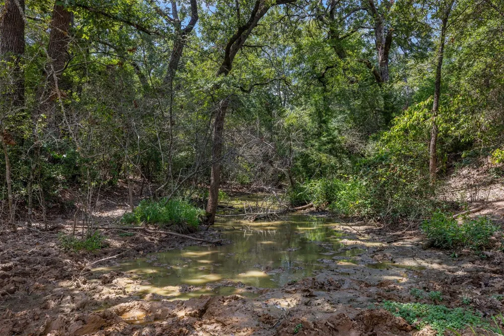 450 Fm 974 Bryan, TX 77808