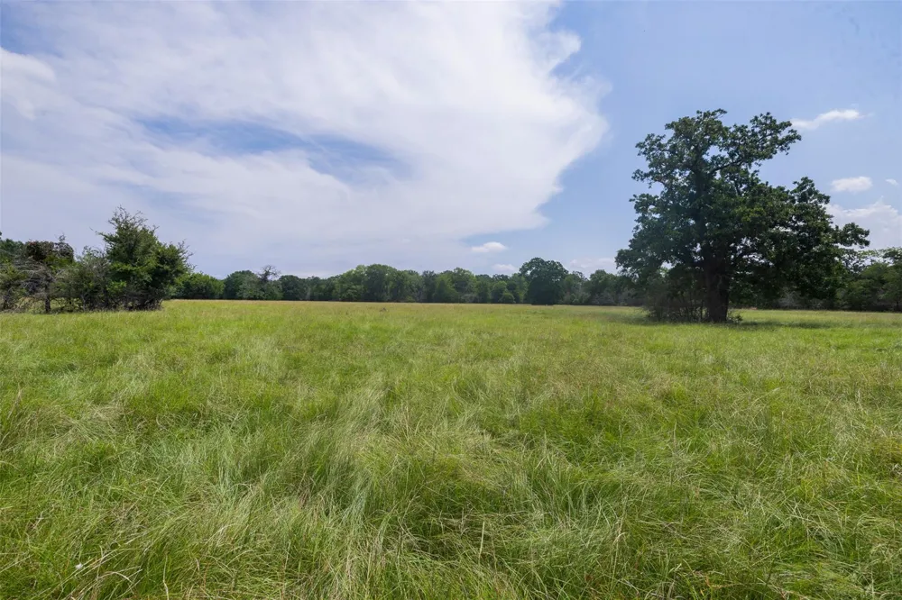 450 Fm 974 Bryan, TX 77808