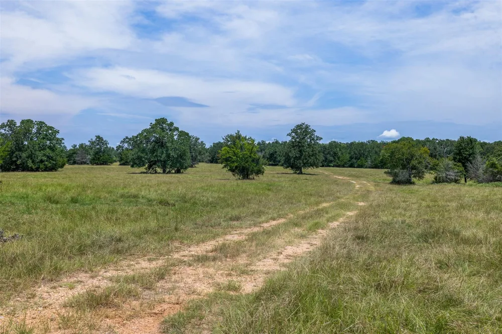 450 Fm 974 Bryan, TX 77808