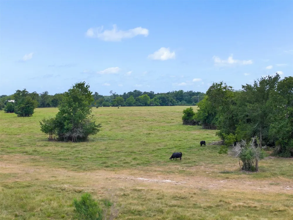 450 Fm 974 Bryan, TX 77808