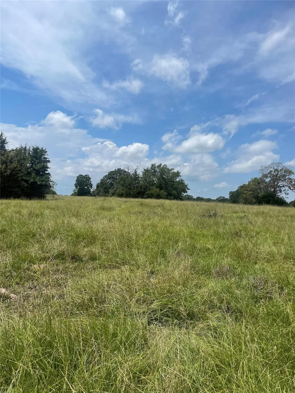 450 Fm 974 Bryan, TX 77808