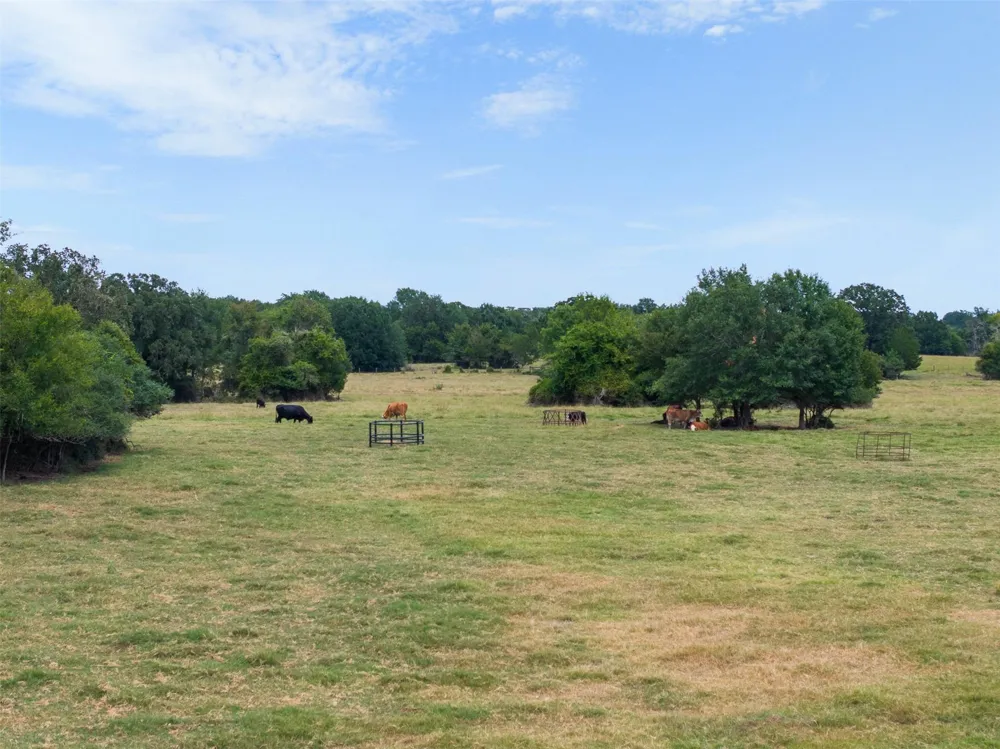 450 Fm 974 Bryan, TX 77808