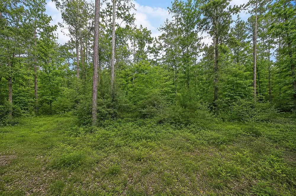 247 County Road 6763 Dayton, TX 77535