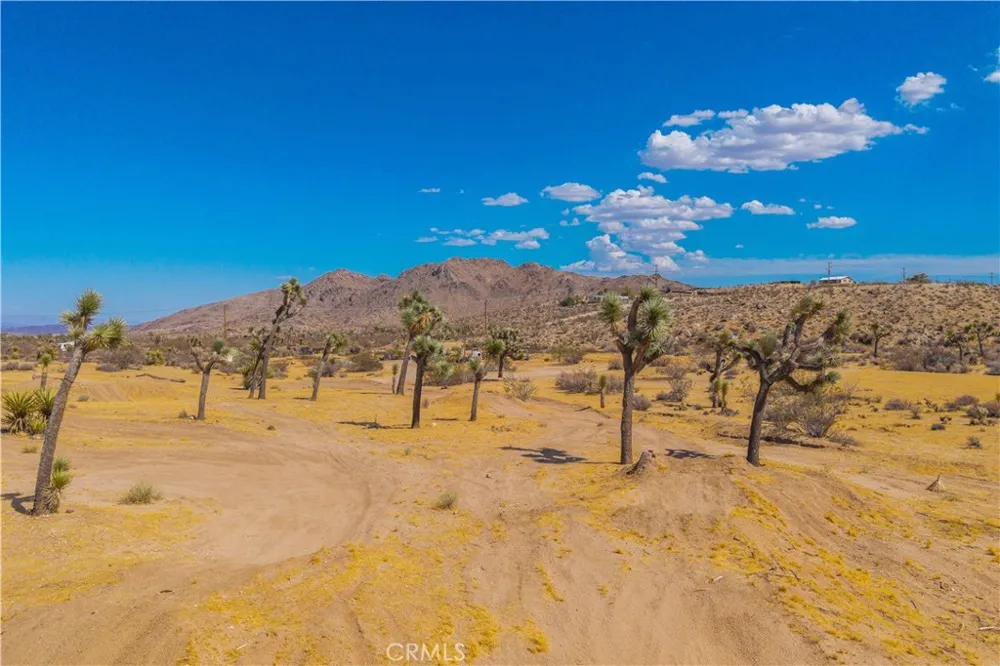 3945 Bonita Avenue Yucca Valley, CA 92284
