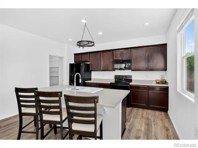 3657 Torch Lily Street Wellington, CO 80549