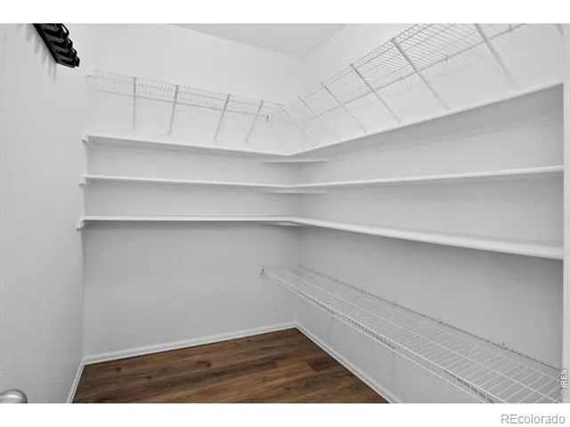 3657 Torch Lily Street Wellington, CO 80549