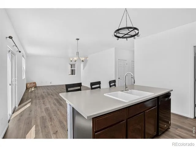 3657 Torch Lily Street Wellington, CO 80549
