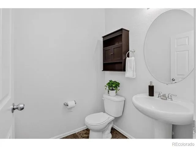 3657 Torch Lily Street Wellington, CO 80549