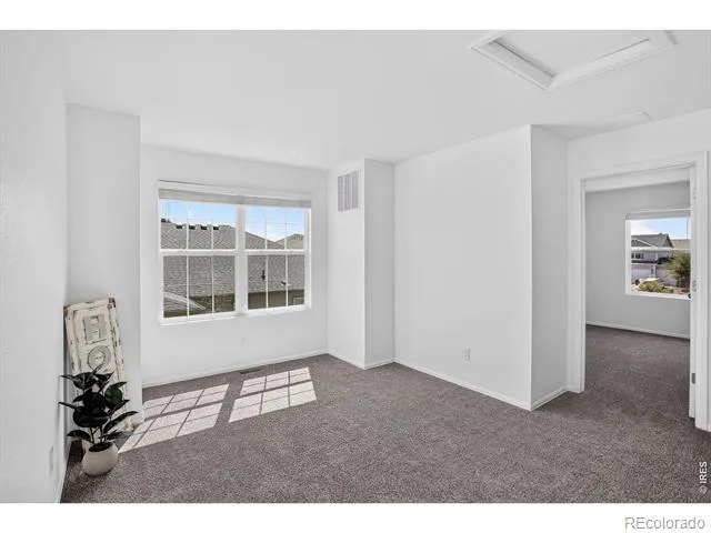 3657 Torch Lily Street Wellington, CO 80549