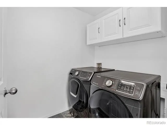 3657 Torch Lily Street Wellington, CO 80549