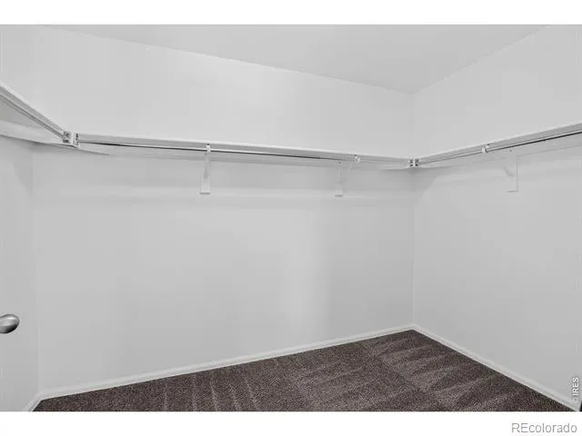 3657 Torch Lily Street Wellington, CO 80549