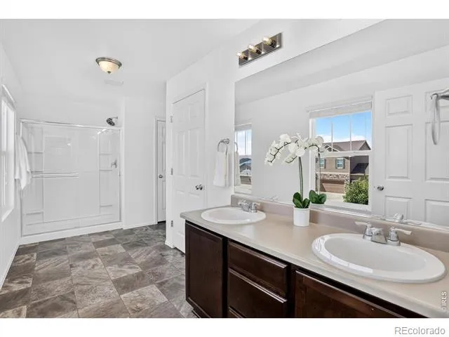 3657 Torch Lily Street Wellington, CO 80549