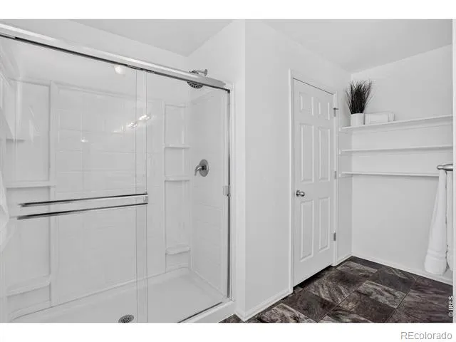 3657 Torch Lily Street Wellington, CO 80549