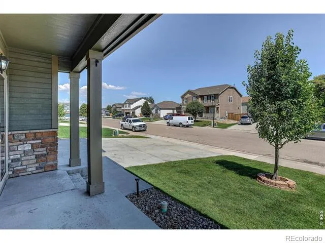 3657 Torch Lily Street Wellington, CO 80549