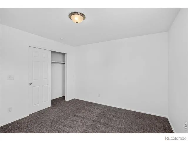 3657 Torch Lily Street Wellington, CO 80549