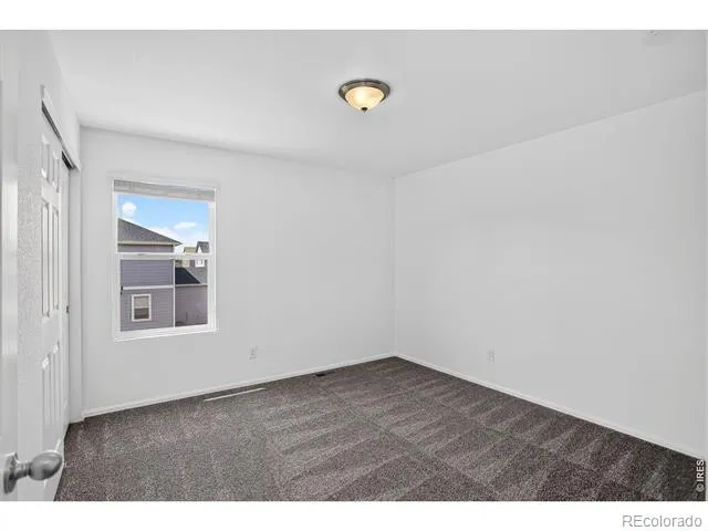 3657 Torch Lily Street Wellington, CO 80549