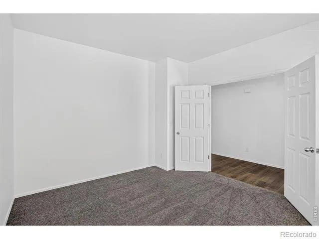 3657 Torch Lily Street Wellington, CO 80549