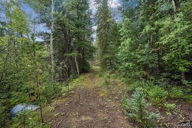 002 Fall River Road Idaho Springs, CO 80452