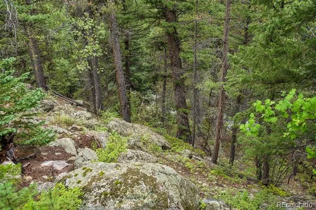 002 Fall River Road Idaho Springs, CO 80452