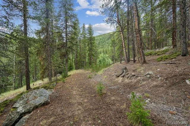 002 Fall River Road Idaho Springs, CO 80452