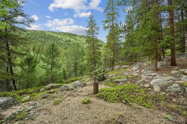 002 Fall River Road Idaho Springs, CO 80452