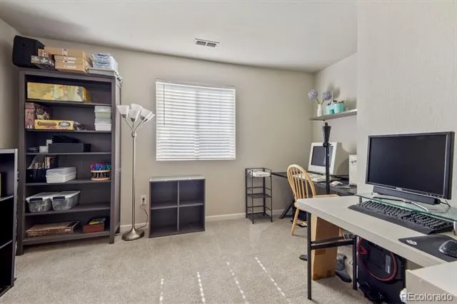 3585 Swabuck Place Castle Rock, CO 80109