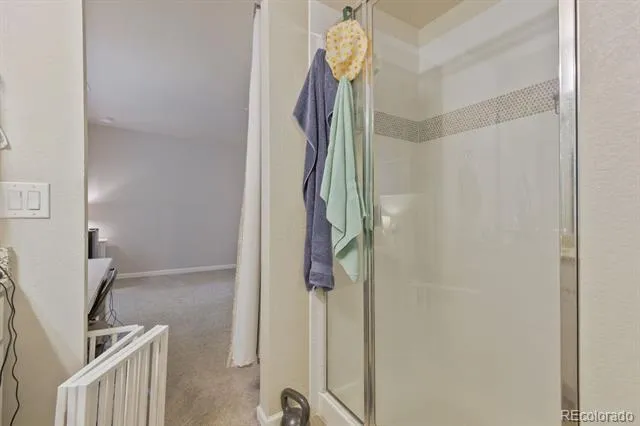 3585 Swabuck Place Castle Rock, CO 80109