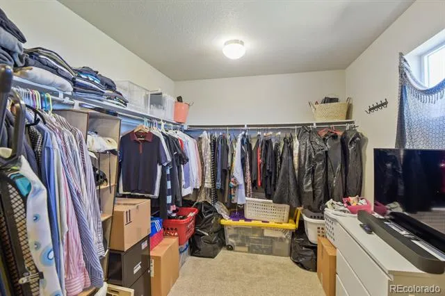 3585 Swabuck Place Castle Rock, CO 80109