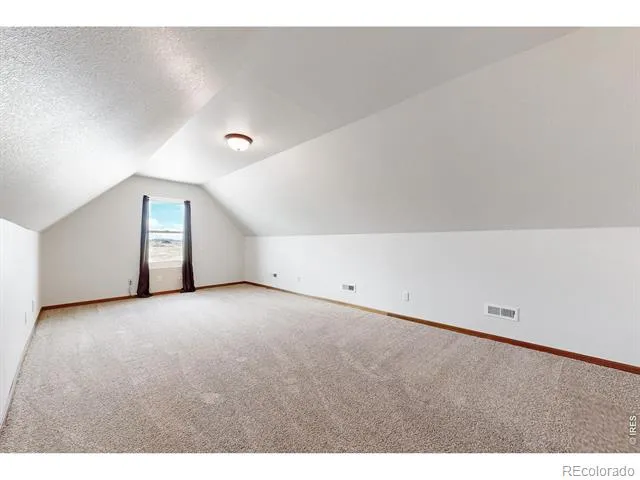 176 Chuckwagon Lane Livermore, CO 80536
