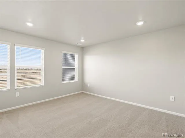 1596 Riverplace Drive #3 Windsor, CO 80550