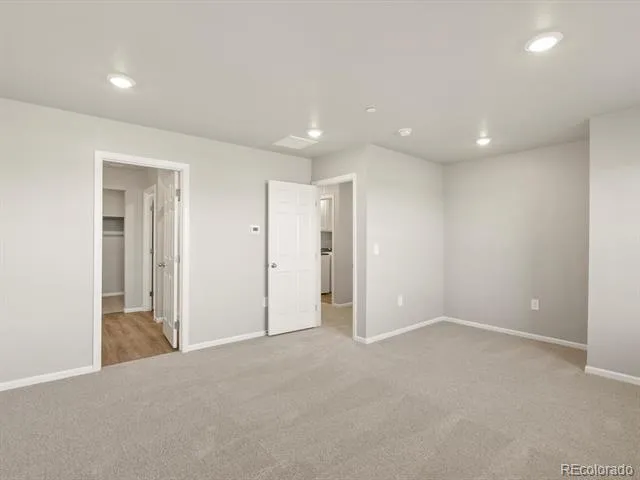 1596 Riverplace Drive #3 Windsor, CO 80550