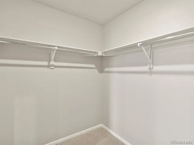 1596 Riverplace Drive #3 Windsor, CO 80550