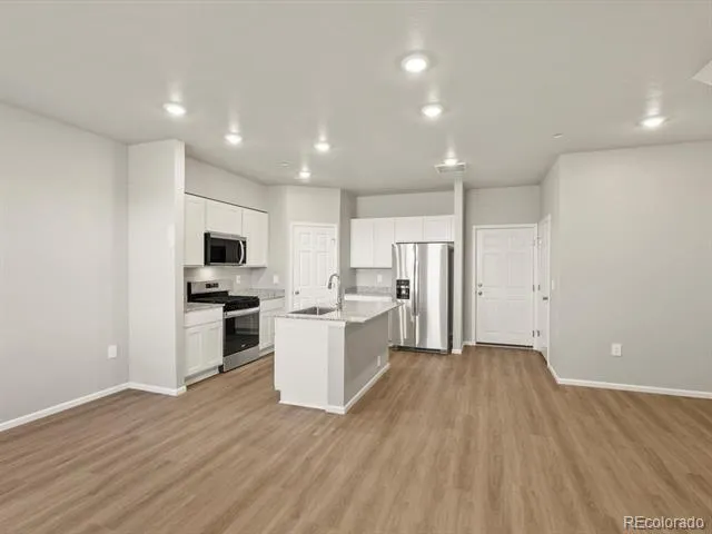 1596 Riverplace Drive #3 Windsor, CO 80550