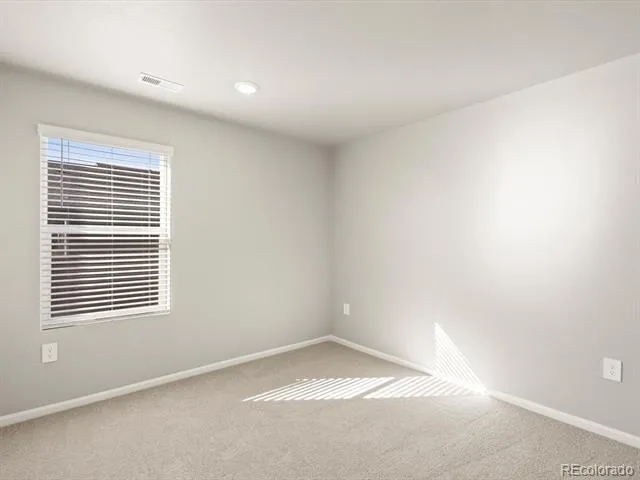 1596 Riverplace Drive #3 Windsor, CO 80550