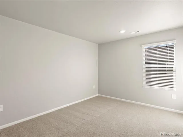 1596 Riverplace Drive #3 Windsor, CO 80550