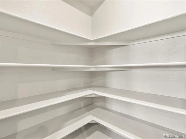 1596 Riverplace Drive #3 Windsor, CO 80550